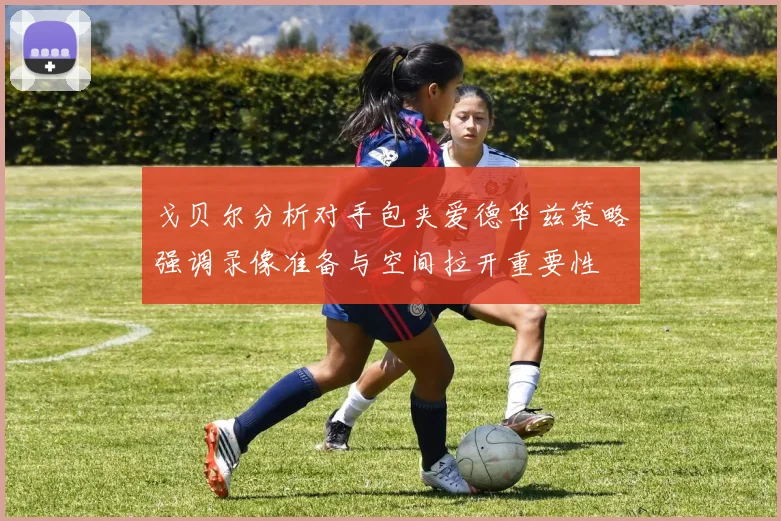 戈贝尔分析对手包夹爱德华兹策略强调录像准备与空间拉开重要性
