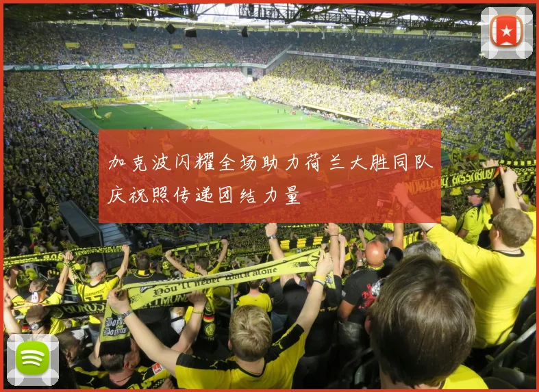 加克波闪耀全场助力荷兰大胜同队庆祝照传递团结力量